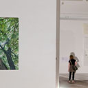 shedhalle 28.07.2012